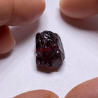 Chrome Pyrope - Mozambique