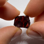 Chrome Pyrope - Mozambique