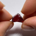 Chrome Pyrope - Mozambique