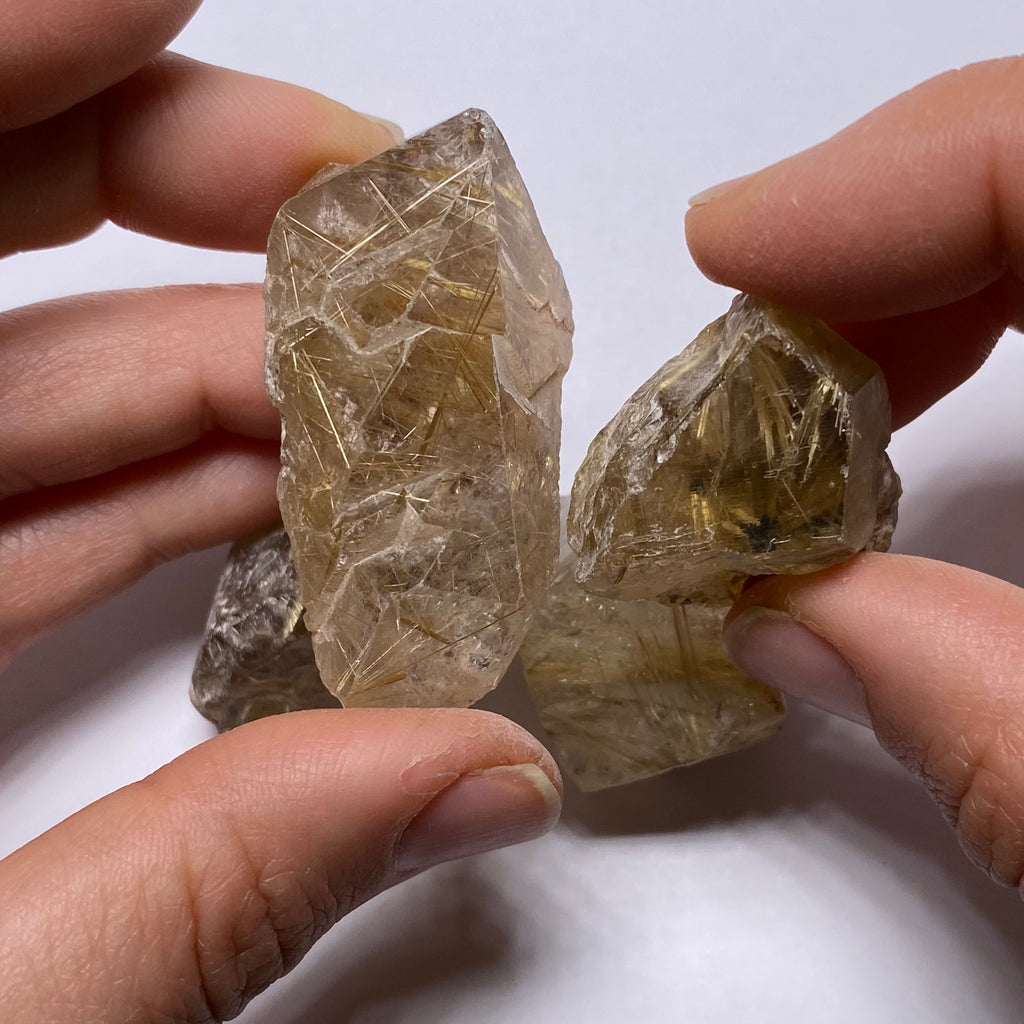 Golden Rutile in Quartz - Brazil