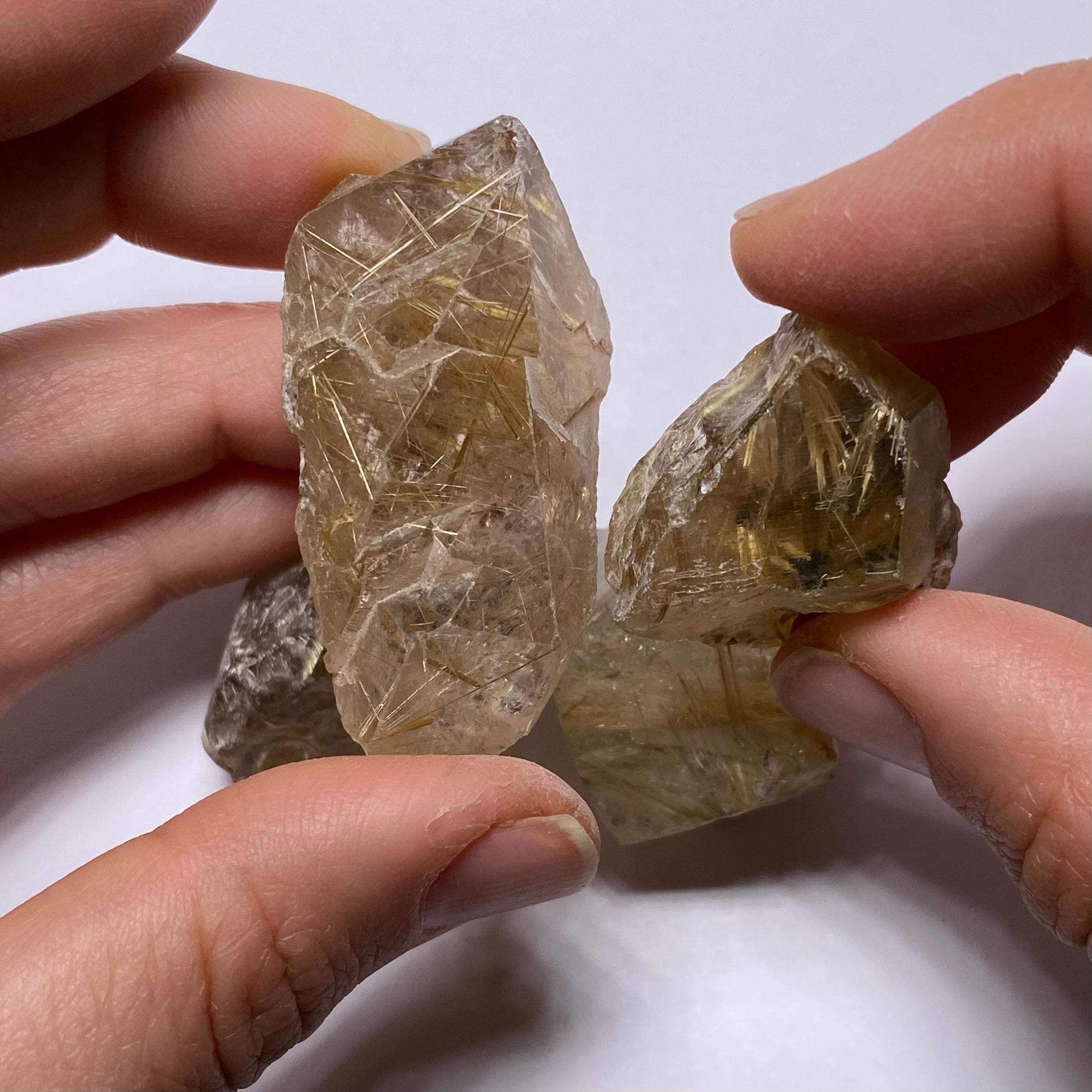 Golden Rutile in Quartz - Brazil