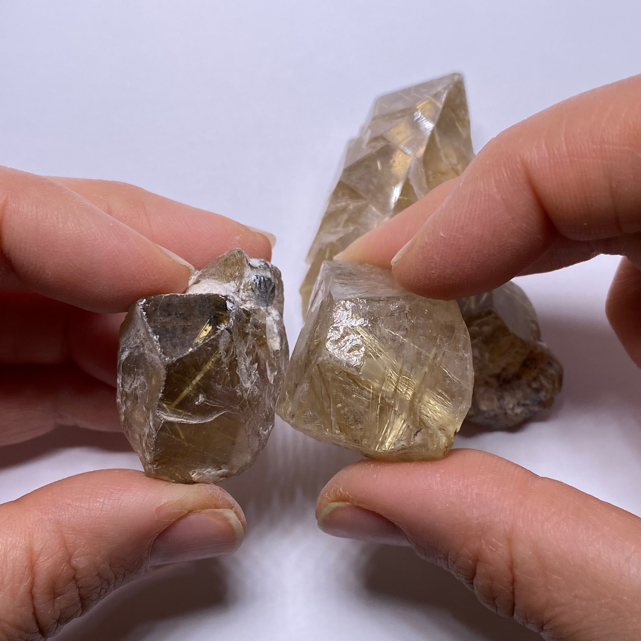 Golden Rutile in Quartz - Brazil
