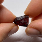 Chrome Pyrope - Mozambique