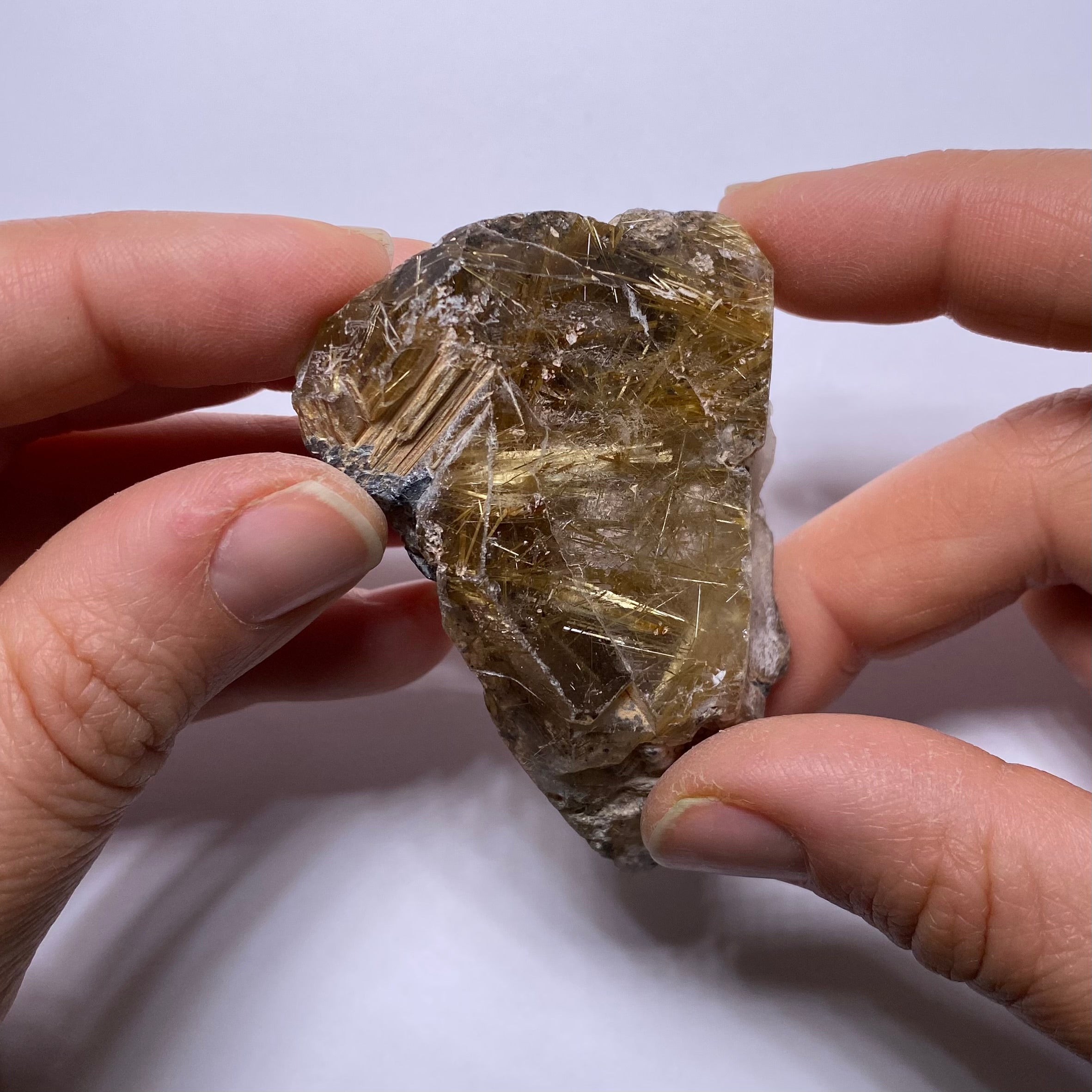 Golden Rutile in Quartz - Brazil