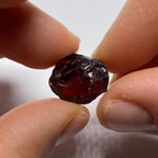 Chrome Pyrope - Mozambique