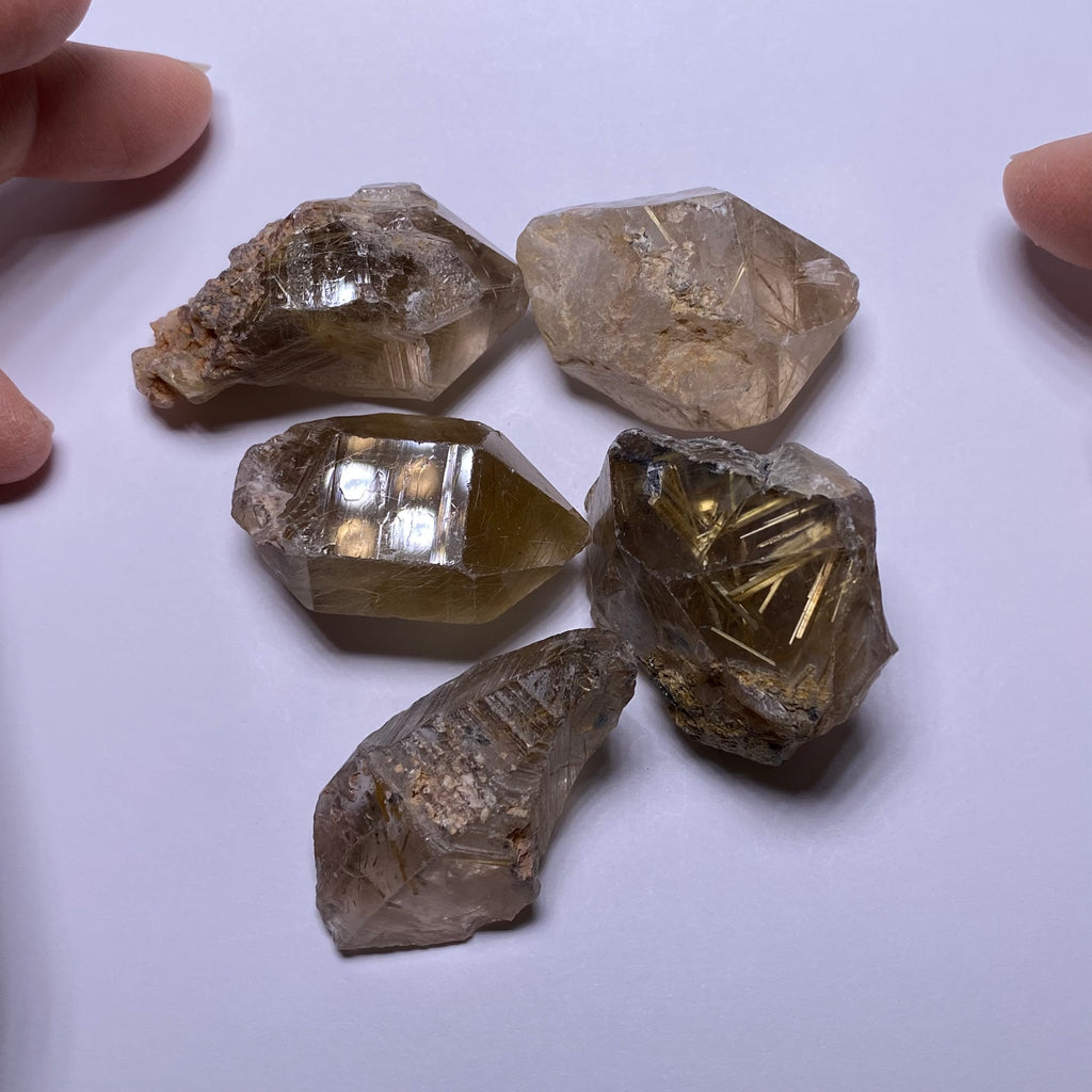 Golden Rutile in Quartz - Brazil