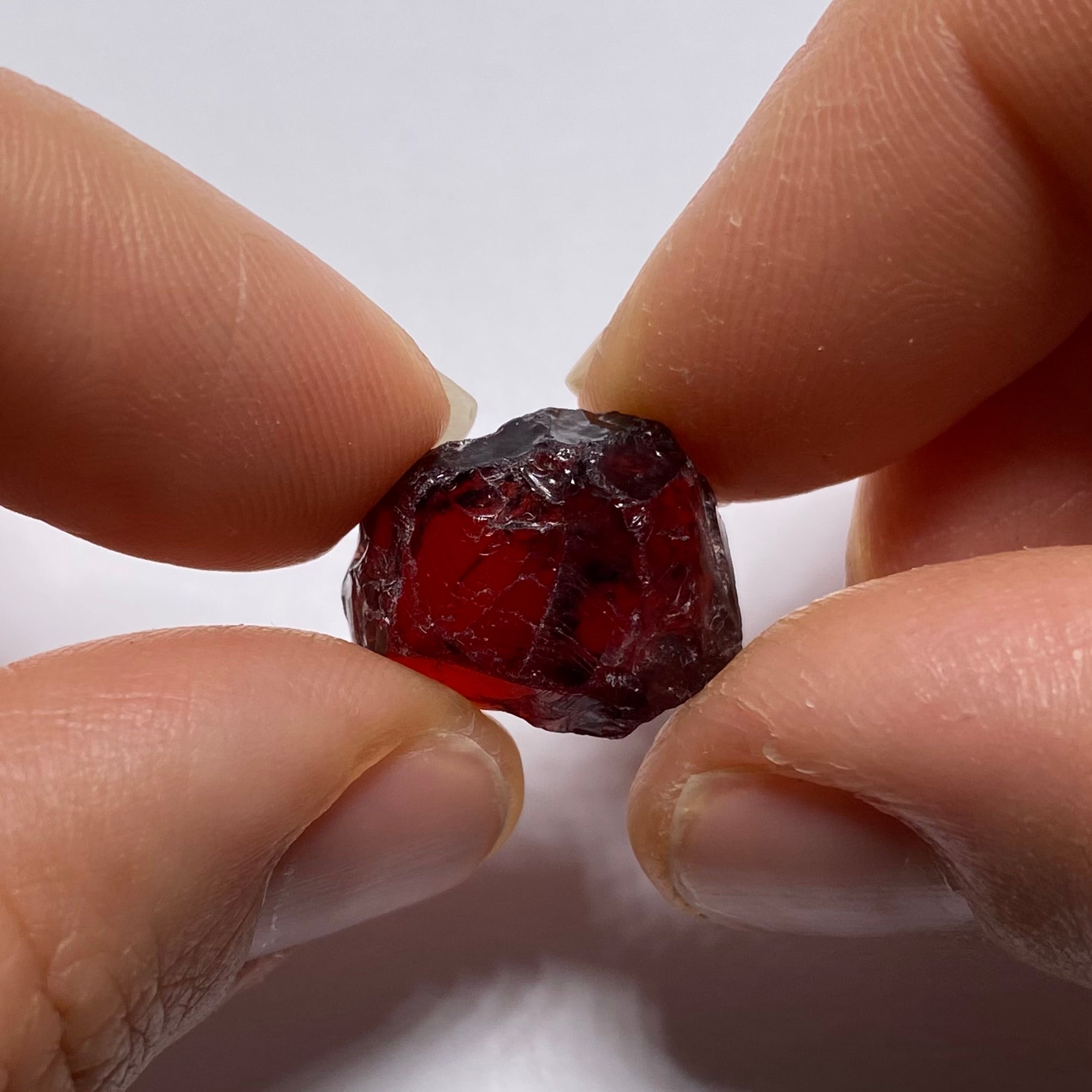 Chrome Pyrope - Mozambique