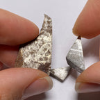 Gibeon Meteorite - Namibia