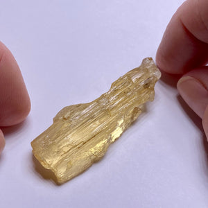 Golden Scapolite - Tanzania