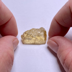 Golden Scapolite - Tanzania