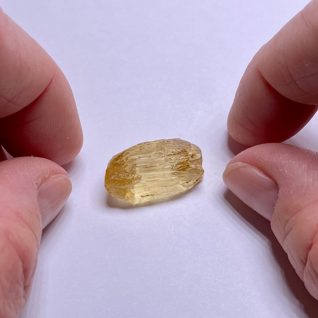 Golden Scapolite - Tanzania