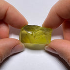 Oro Verde - Brazil