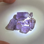 Purple Scapolite - Pamir Mountains, Tajikistan