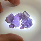 Purple Scapolite - Pamir Mountains, Tajikistan