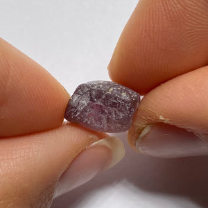 Mozambique Zircon