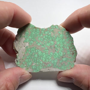 Lucin Variscite - Utah