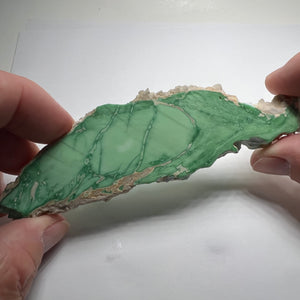 Lucin Variscite - Utah