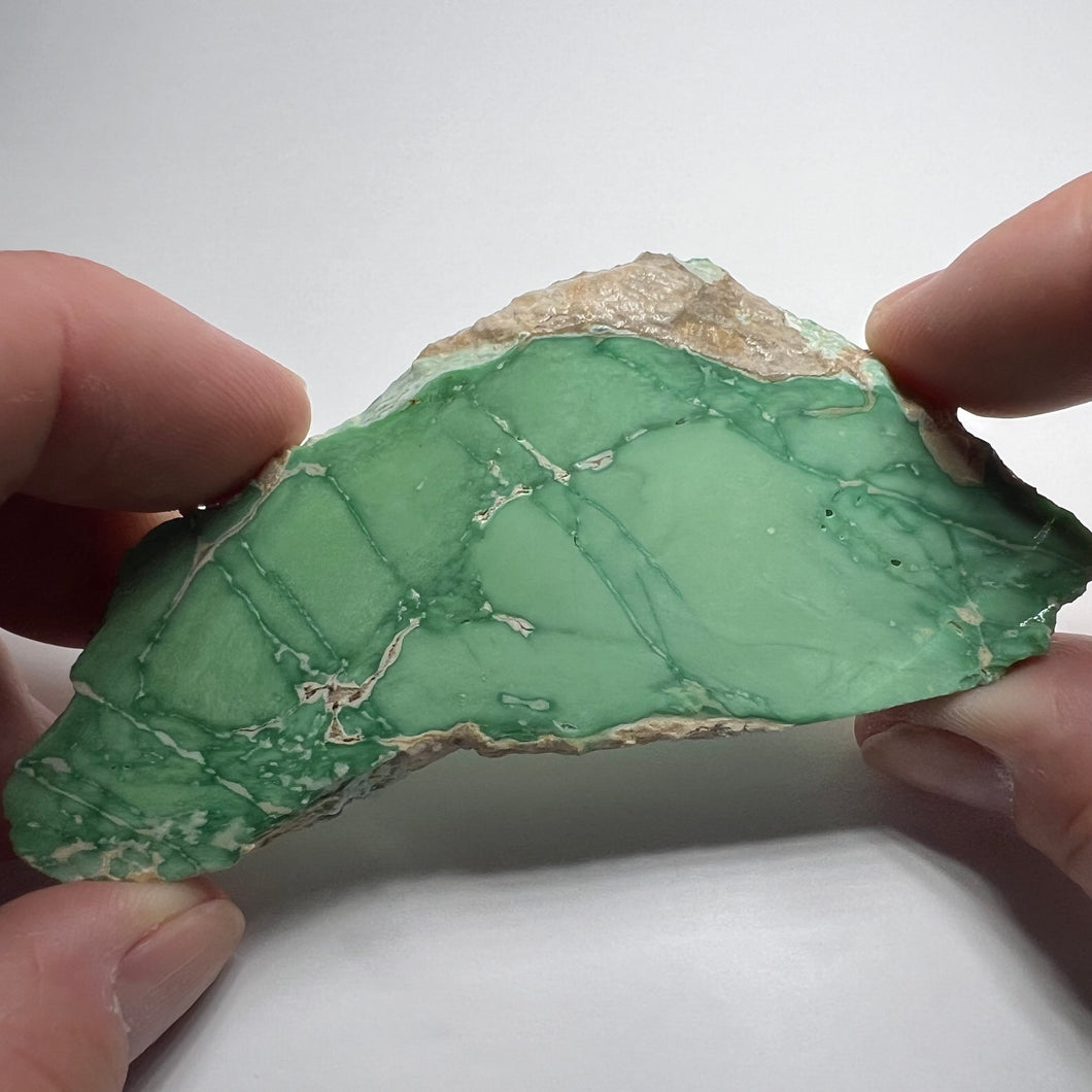 Lucin Variscite - Utah