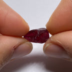 Rhodolite - Tanzania