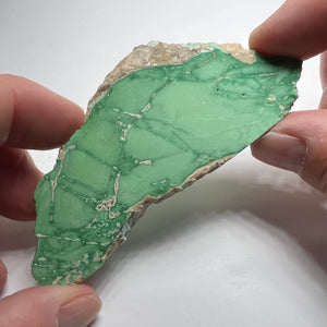 Lucin Variscite - Utah