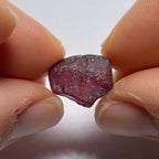 Rhodolite - Tanzania