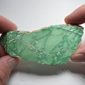 Lucin Variscite - Utah