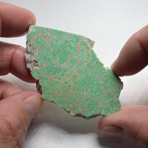 Lucin Variscite - Utah