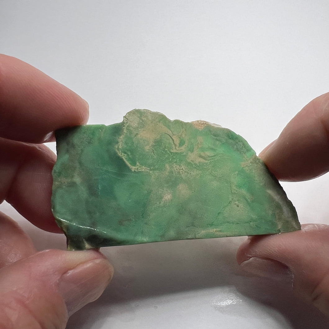 Lucin Variscite - Utah