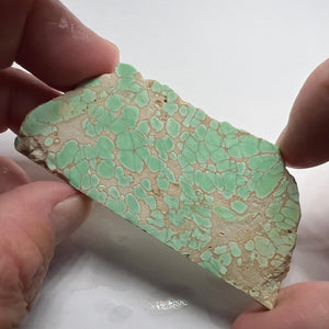 Lucin Variscite - Utah