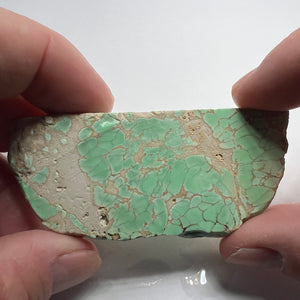 Lucin Variscite - Utah