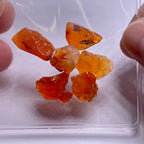 Mexican Fire Opal