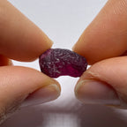 Rhodolite - Tanzania