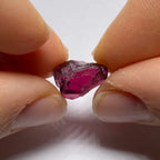 Rhodolite - Tanzania