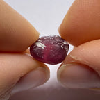 Rhodolite - Tanzania