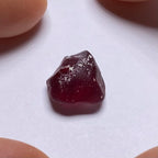 Rhodolite - Tanzania