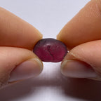 Rhodolite - Tanzania