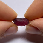 Rhodolite - Tanzania