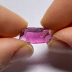 Rhodolite - Tanzania