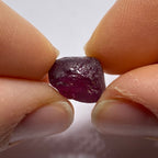 Rhodolite - Tanzania