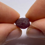 Rhodolite - Tanzania