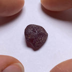 Rhodolite - Tanzania