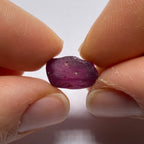 Rhodolite - Tanzania