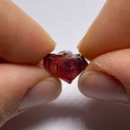 Rhodolite - Tanzania