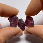 Rhodolite - Tanzania