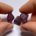 Rhodolite - Tanzania