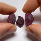 Rhodolite - Tanzania