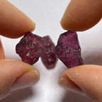 Rhodolite - Tanzania