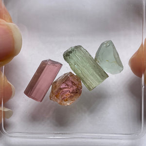 Congo Tourmaline