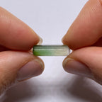 Bi-Color Tourmaline - Nigeria