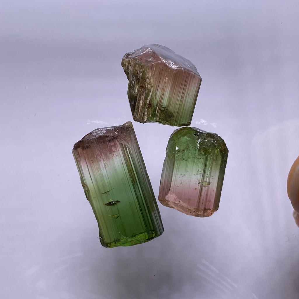 Bi-Color Tourmaline - Congo